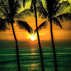 Meet your Posher, Leighton